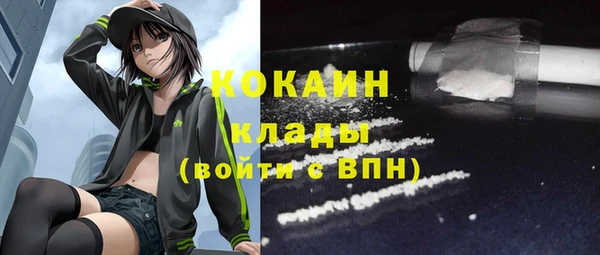 2c-b Горняк