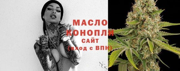 2c-b Горняк