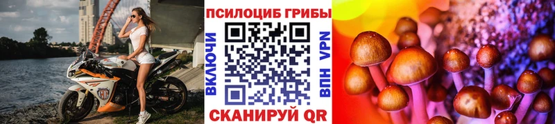 Галлюциногенные грибы прущие грибы Петров Вал