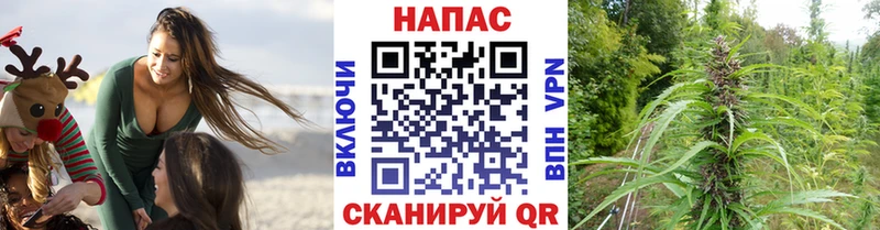 Купить закладки  Петров Вал  Канабис планчик 